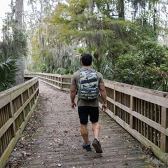 Merino Challenge Socks - Ankle (No-Show)